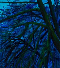 Trees and Night by Claire Sherman contemporary artwork painting