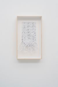 Llatro amb serrel by Isabel Servera contemporary artwork works on paper