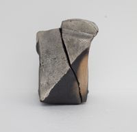 Tanka with Silver (topology form) by Shozo Michikawa contemporary artwork sculpture