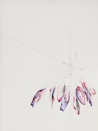 Fritillaria Imperialis by Grace Schwindt contemporary artwork painting, works on paper, drawing