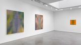 Contemporary art exhibition, Roy Colmer, Roy Colmer at Lisson Gallery, Lisson Street, London, United Kingdom
