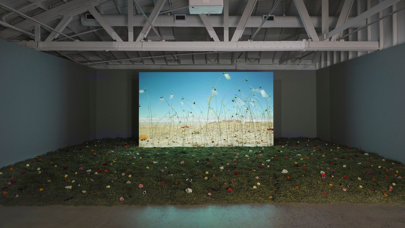 0098b923-9e01-45d0-9daa-