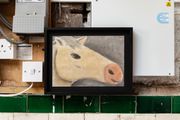Portrait of a gold horse by Andrew Sim contemporary artwork 3