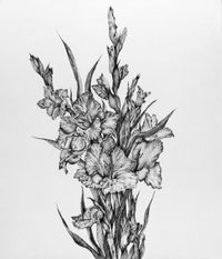 Final Bloom by Nazanin Parviz contemporary artwork works on paper, drawing