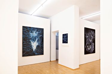 Exhibition view: Christina Lissmann, Pearls & Bones, Paintings 2020 - 2021, Boutwell Schabrowsky, Munich (14 January–18 February 2022). Courtesy Boutwell Schabrowsky. 
