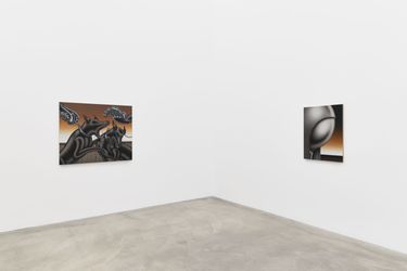 Exhibition view: Nigel Howlett, Means of Opposites, Anat Ebgi, Los Angeles (26 August–7 October 2023). Courtesy Anat Ebgi.