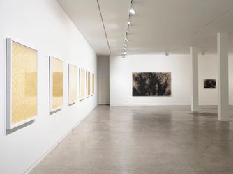 Contemporary art exhibition, Peata Larkin, Māmā  