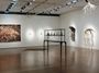 Contemporary art exhibition, Fiona Hall, Shot Through at Roslyn Oxley9 Gallery, Sydney, Australia