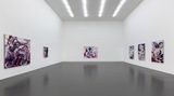 Contemporary art exhibition, Zhang Zipiao, BLOOMING at White Space, Caochangdi, China