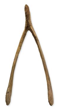 Wishbone by Fay Ming contemporary artwork mixed media