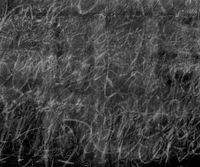A Field of Dust by Idris Khan contemporary artwork mixed media