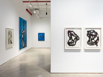 Exhibition view: Rodolpho Parigi, VOLUMENS, Galeria Nara Roesler, New York (2 May–1 June 2024). Courtesy Galeria Nara Roesler.