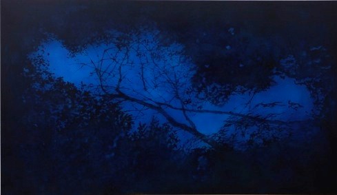 blue shade by Xie Fan contemporary artwork