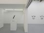 Contemporary art exhibition, Kim Jones, The Last Shape of Things at Zeno X Gallery, Antwerp, Belgium