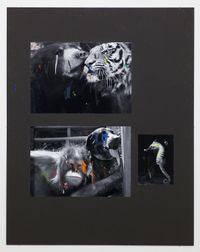 Bär / Tiger by Henrik Olesen contemporary artwork mixed media