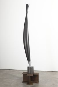 Bird in Space (black carbon) by Iñigo Manglano-Ovalle contemporary artwork sculpture
