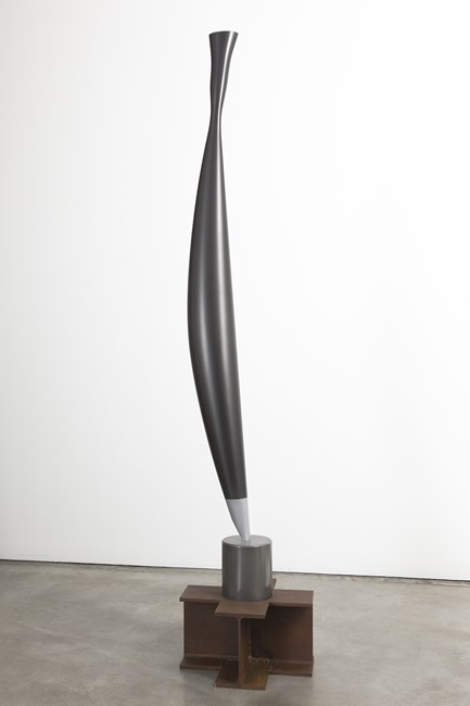 Bird in Space (black carbon) by Iñigo Manglano-Ovalle contemporary artwork