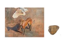 Notes from the Ship-Breaking Yard (dogs) by Bhasha Chakrabarti contemporary artwork painting
