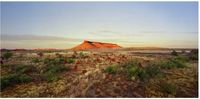 brumby mound #6 by Rosemary Laing contemporary artwork photography