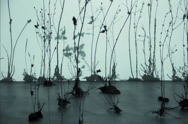 Ursula Palla, Empty Garden 3 (2020–2022). 32 Plants cast in bronze, video beamer, HD Player. Dimensions variable. Courtesy Tang Contemporary Art.