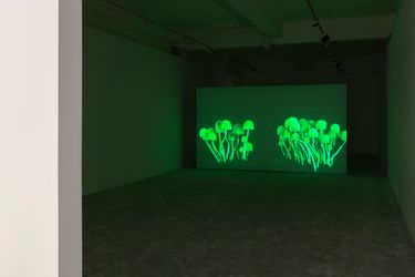 Exhibition view: Rachel Rose, Enclosure, Pilar Corrias (8 March–16 April 2022). Courtesy the artist and Pilar Corrias, London