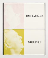 Prima Facie (Fourth State): Pink Cadillac/ Wild Daisy by John Baldessari contemporary artwork mixed media