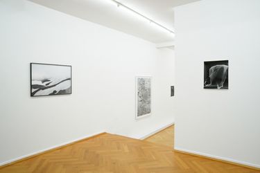 Exhibition view: Flo Maak & Sara-Lena Maierhofer, Unter dem Pflaster, Bernhard Knaus Fine Art, Frankfurt (11 February–22 April 2023). Courtesy Bernhard Knaus Fine Art.