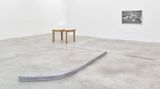 Contemporary art exhibition, Seoyoung Chung, Ability vs. Invisibility at Tina Kim Gallery, New York, USA