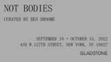 Contemporary art exhibition, Group Exhibition, Not Bodies at West 127th Street, 515 West 24th Street, New York, USA