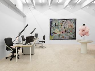 Exhibition view: Laure Prouvost, Lisson Gallery, New York (9 March–14 April 2018). © Laure Prouvost. Courtesy Lisson Gallery.