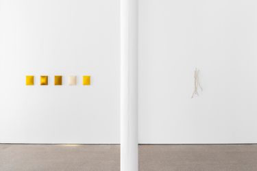 Exhibition view: Edith Dekyndt, Ne pas laver le sable jaune, Galerie Greta Meert, Brussels (7 September–21 October 2023). Courtesy Galerie Greta Meert.