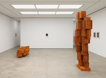 Exhibition view: Antony Gormley, AERIAL, White Cube, New York (30 April–15 June 2024). Courtesy White Cube.