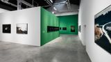 Contemporary art exhibition, Robert Zhao Renhui, Christmas Island, Naturally at ShanghART, M50, Shanghai, China