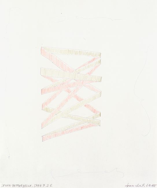 # 441 senza pappardelle, spez. p. j. g. by Tomas Schmit contemporary artwork