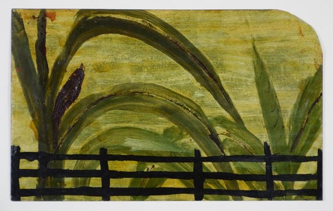 Banana Plants and Fence by Frank Walter contemporary artwork