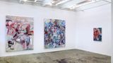 Contemporary art exhibition, Haeri Yoo, Body Hoarding at Thomas Erben Gallery, New York, United States