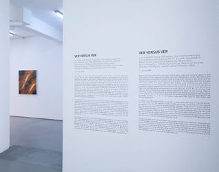 Exhibition view: Group Exhibition, Ver versus ver, Sabrina Amrani, Sallaberry, 52, Madrid (4 July–8 August 2020). Courtesy Sabrina Amrani.