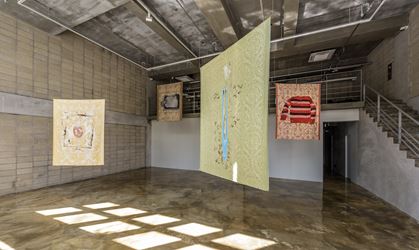 Exhibition view: Shezad Dawood, Leviathan: Sunspots and Whales, Barakat Contemporary, Seoul (1 September–4 November, 2018). Courtesy Barakat Contemporary.