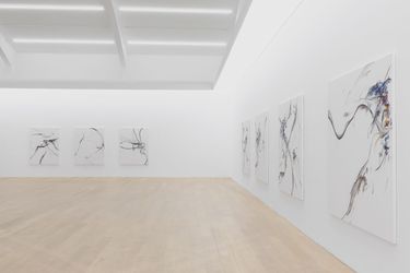 Exhibition view: Xiyao Wang, Liang Xiao Yin, Tang Contemporary Art, Beijing 1st Space (16 December 2023–28 January 2024). Courtesy Tang Contemporary Art.