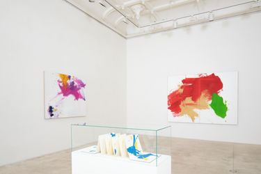 Exhibition view: Zhang Wei, Colours of Emotion, Galerie Krinzinger, Seilerstätte 16, Vienna (9 November–14 January 2023). Courtesy Galerie Krinzinger. Photo: Carmen Alber.