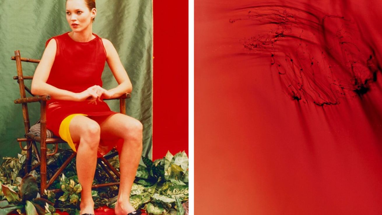 Rare Wolfgang Tillmans Photographs to Come to Market for First