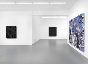 Exhibition view: Jason Martin, New Titles, Buchmann Galerie, Berlin (28 April–26 June 2023). Courtesy Buchmann Galerie.