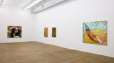Contemporary art exhibition, Marcia Schvartz, Works, 1976 – 2018 at Andrew Kreps Gallery, 55 Walker Street, United States