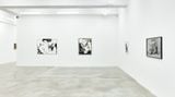 Contemporary art exhibition, Wook-Kyung Choi, Wook-Kyung Choi at Tina Kim Gallery, New York, United States