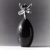 Orchid by Robert Mapplethorpe contemporary artwork photography