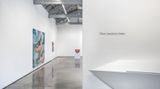 Contemporary art exhibition, Group Exhibition, These lacustrine homes curated by Mai-Thu Perret at David Kordansky Gallery, Los Angeles, United States
