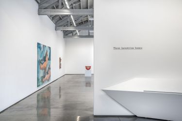 Exhibition view: Group Exhibition, These lacustrine homes curated by Mai-Thu Perret, David Kordansky Gallery, Los Angeles (23 January–6 March 2021). Courtesy David Kordansky Gallery.