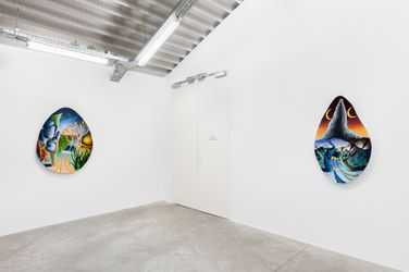Exhibition view: Eliot Greenwald, The Wall, Almine Rech, Brussles (18 January–24 February 2024). Courtesy Almine Rech. Photo: Hugard & Vanoverschelde Photography.