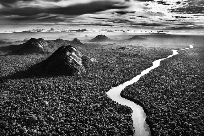 The Demini River, Yanomami Indigenous Territory, state of Amazonas, Brazil by Sebastião Salgado contemporary artwork