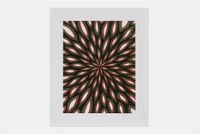 Scanners by Fred Tomaselli contemporary artwork print